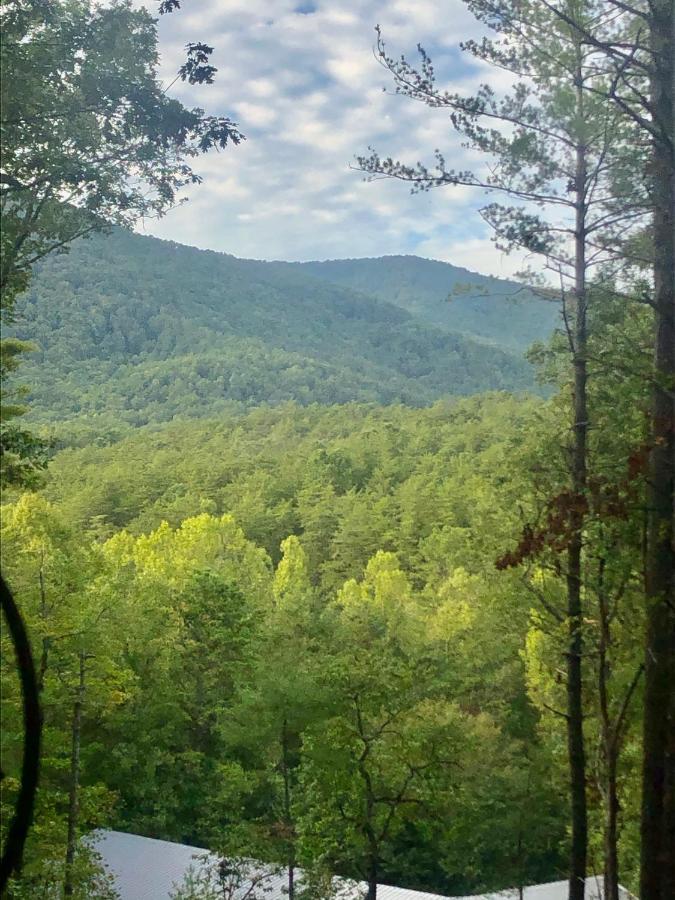 Mountain-Top Cabin Get-Away With Hot Tub And A View Sautee Nacoochee Экстерьер фото