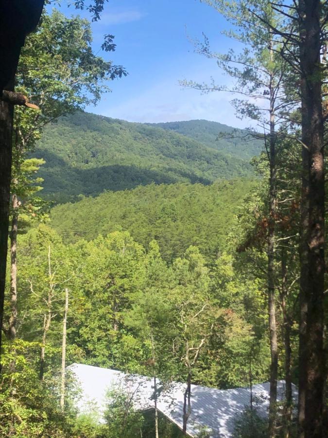 Mountain-Top Cabin Get-Away With Hot Tub And A View Sautee Nacoochee Экстерьер фото